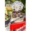 imageCuisinart CPT194 Outdoor Stainless Steel Grill Prep Table