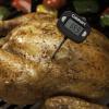 imageCuisinart CSG111 Instant Read Digital Thermometer Black