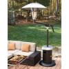 imageCuisinart Perfect Position Propane Patio Heater 38200 BTU Powerful Directional Stainless Steel Outdoor Heater with Hidden Tank and Drink Table Swivel Arm and Reflective Heat Shield